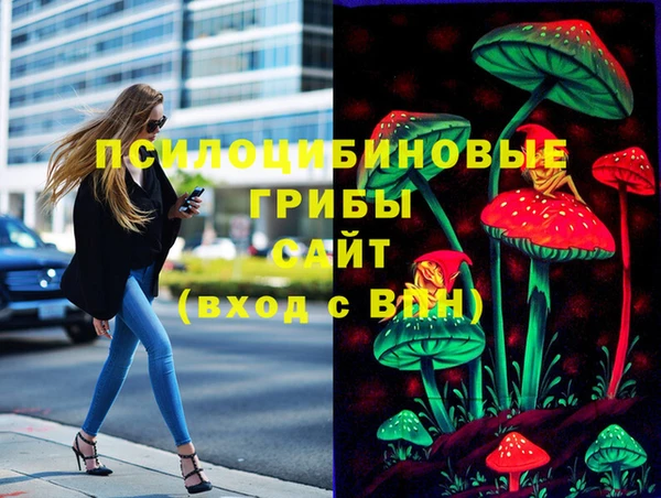 ГАЛЛЮЦИНОГЕННЫЕ ГРИБЫ Абдулино
