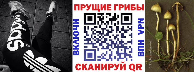 цена Усть-Катав Галлюциногенные грибы ЛСД
